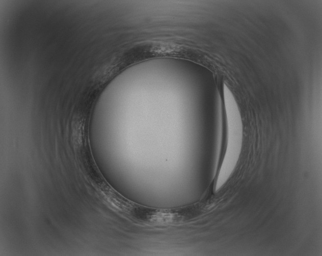 X0000083000227200702230135