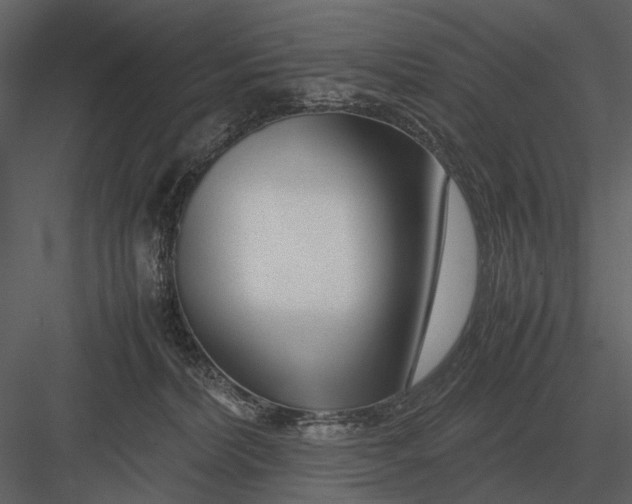 X0000083000228200702230135