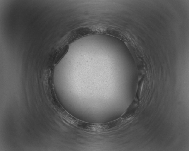 X0000083000229200702230135