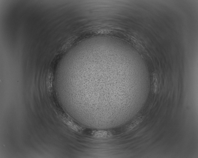 X0000083000230200702230135