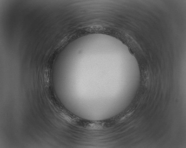 X0000083000232200702230135