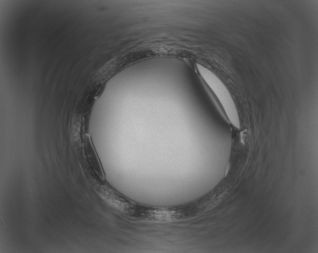 X0000083000233200702230135