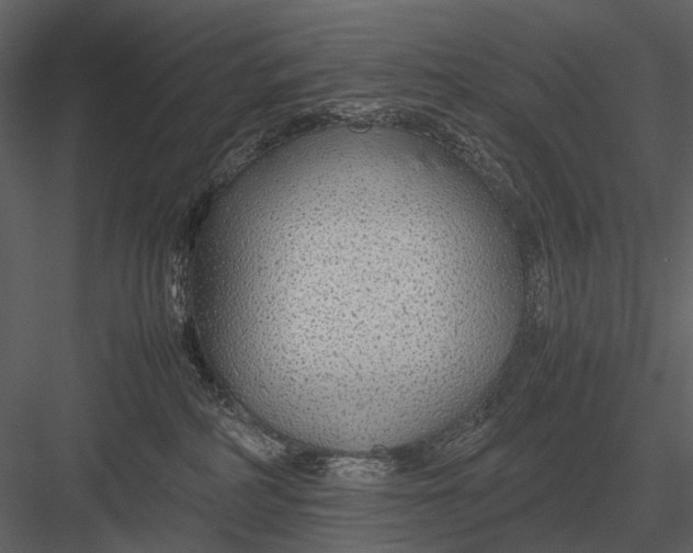 X0000083000234200702230135