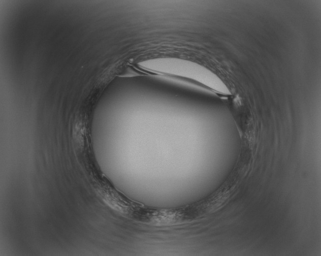 X0000083000235200702230135