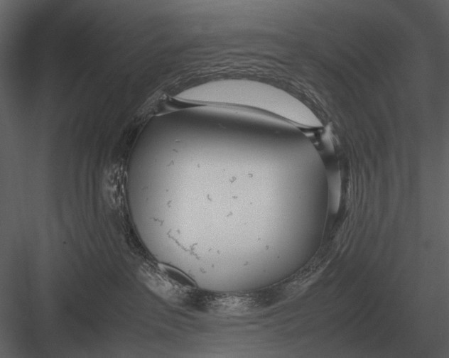 X0000083000237200702230135