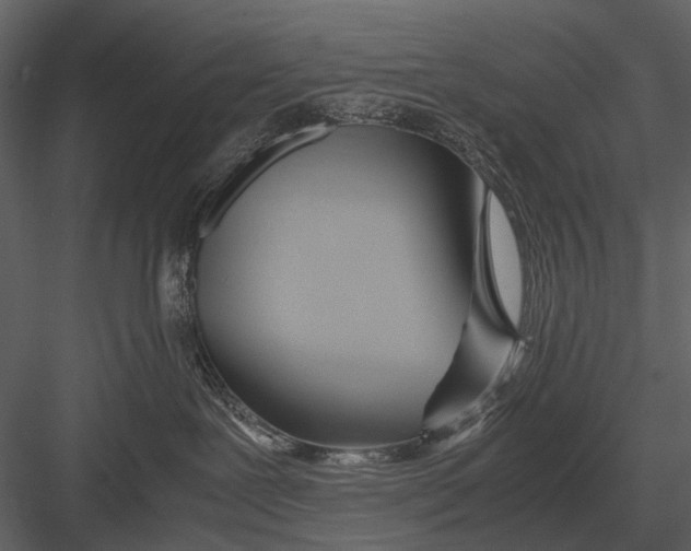 X0000083000239200702230135