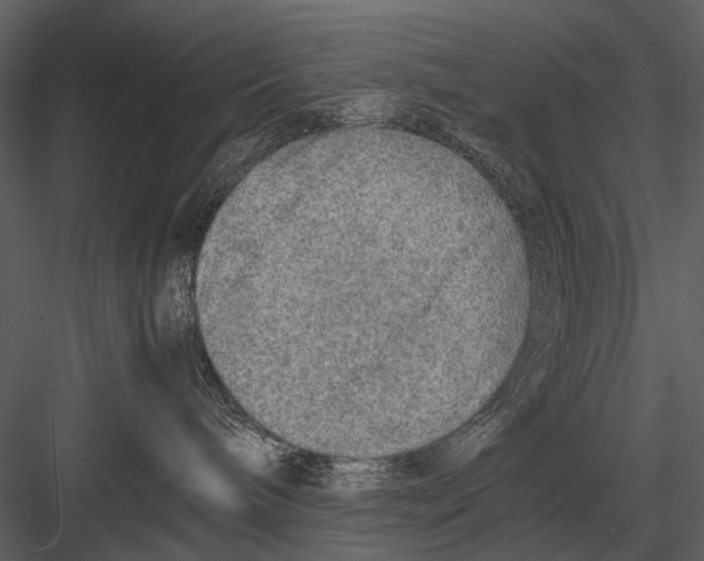 X0000083000240200702230135