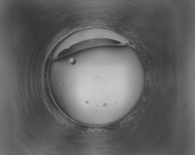 X0000083000242200702230134