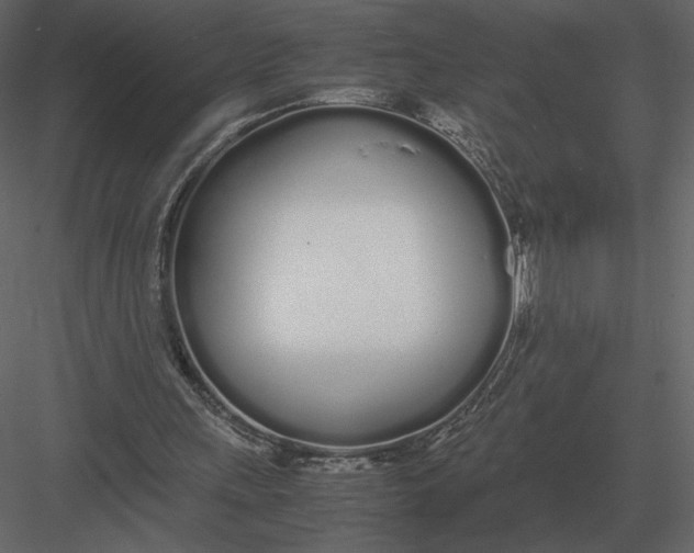 X0000083000243200702230134