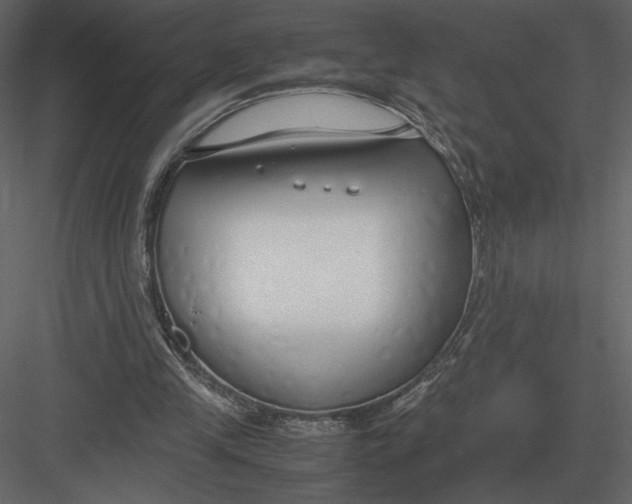 X0000083000245200702230134