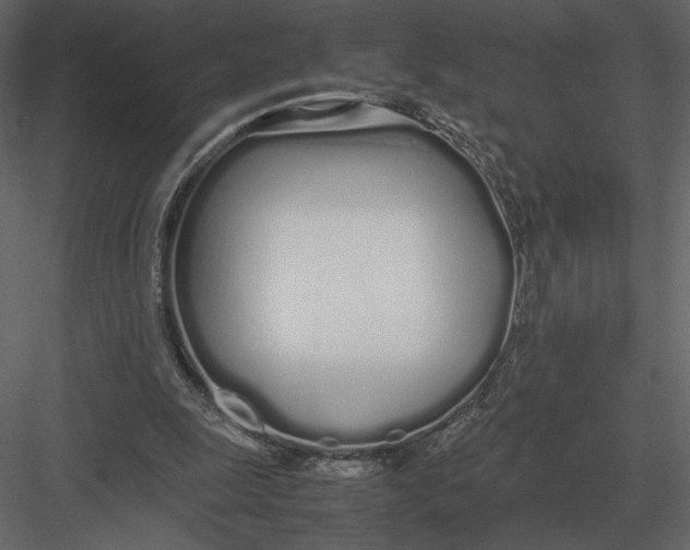 X0000083000247200702230134