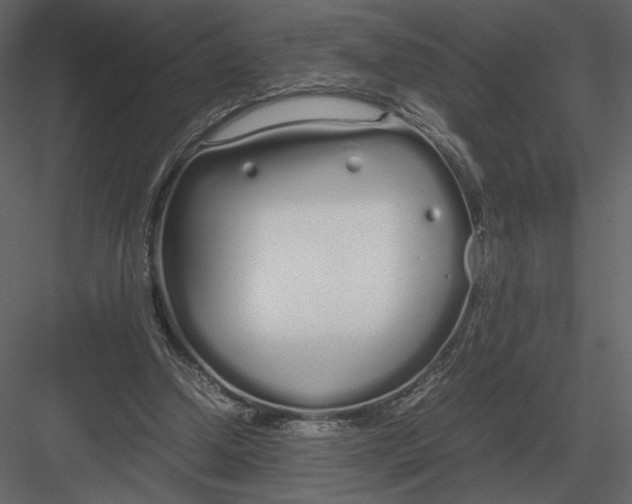 X0000083000250200702230134