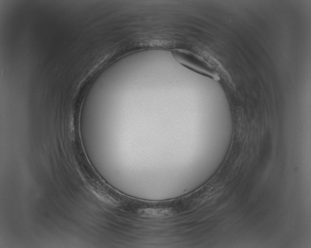 X0000083000251200702230134