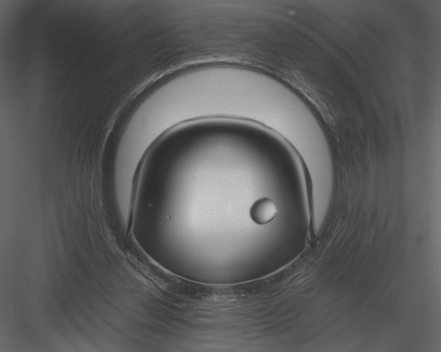 X0000083000252200702230134