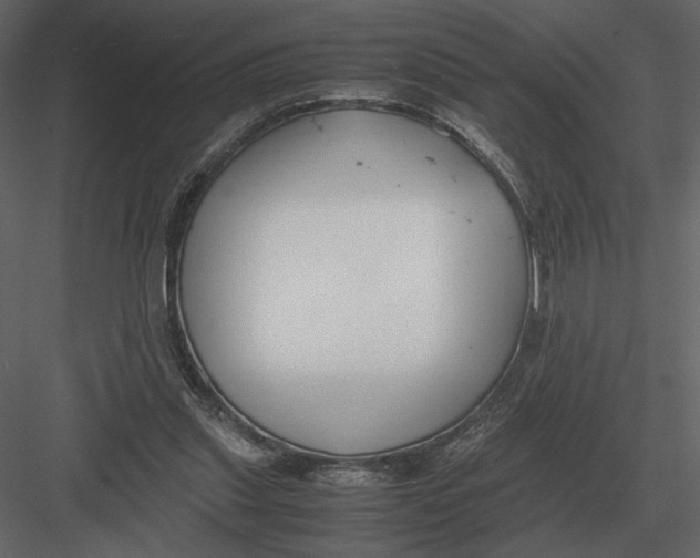 X0000083000253200702230134