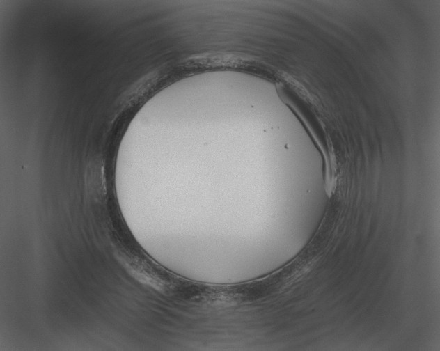 X0000083000254200702230134