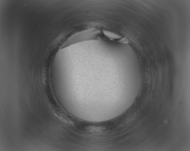 X0000083000255200702230134