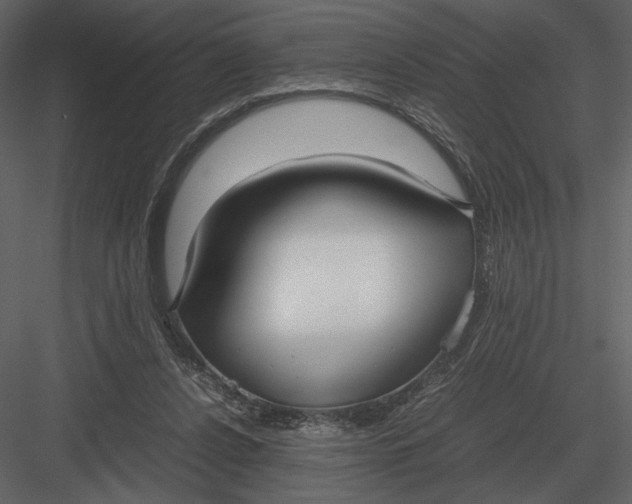 X0000083000256200702230134