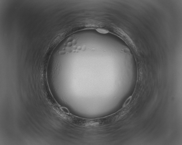 X0000083000257200702230134