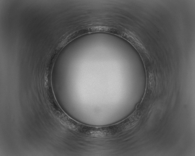 X0000083000259200702230134