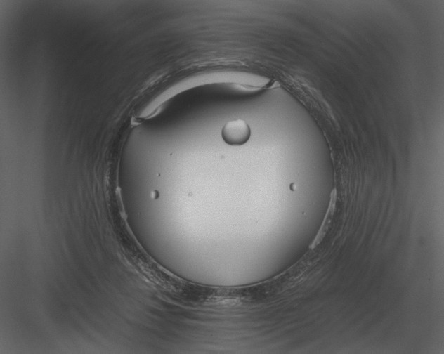 X0000083000260200702230134