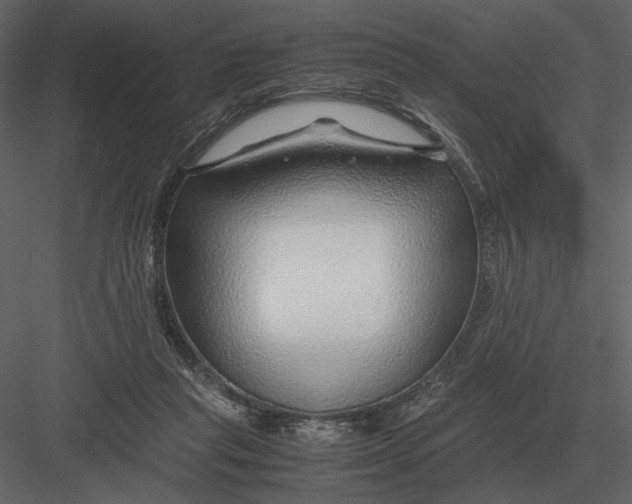 X0000083000261200702230134