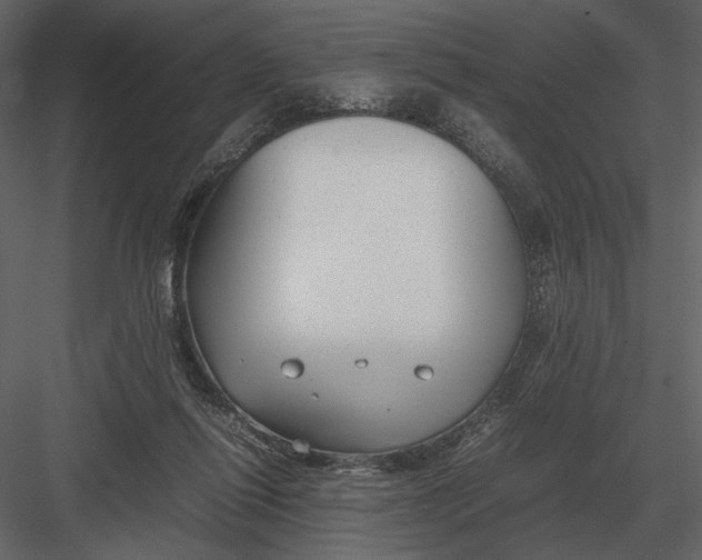 X0000083000262200702230134