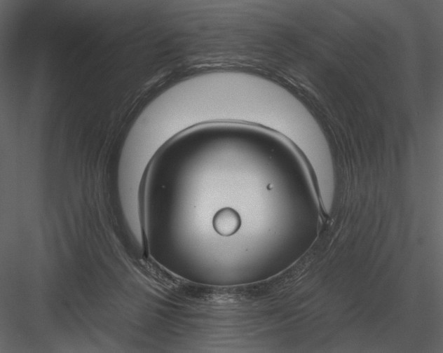 X0000083000264200702230134