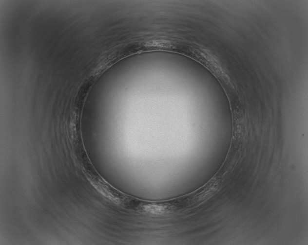 X0000083000265200702230134