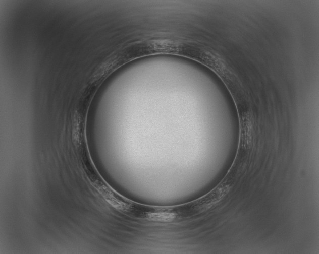 X0000083000266200702230134