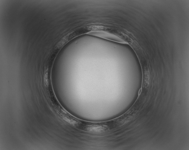 X0000083000267200702230134