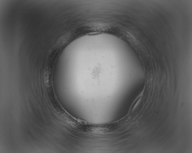 X0000083000268200702230134