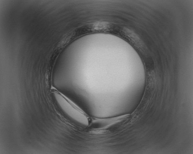 X0000083000269200702230134