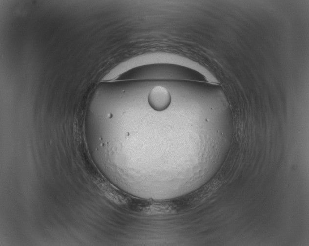 X0000083000270200702230134