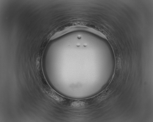 X0000083000271200702230134