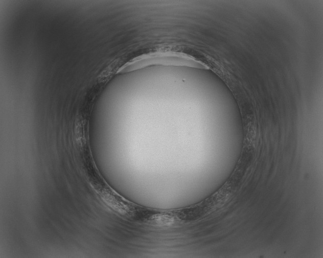 X0000083000272200702230134