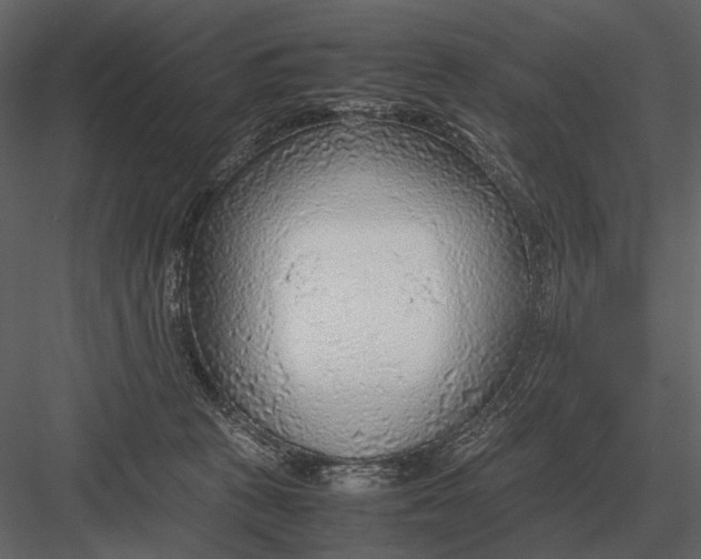 X0000083000273200702230134