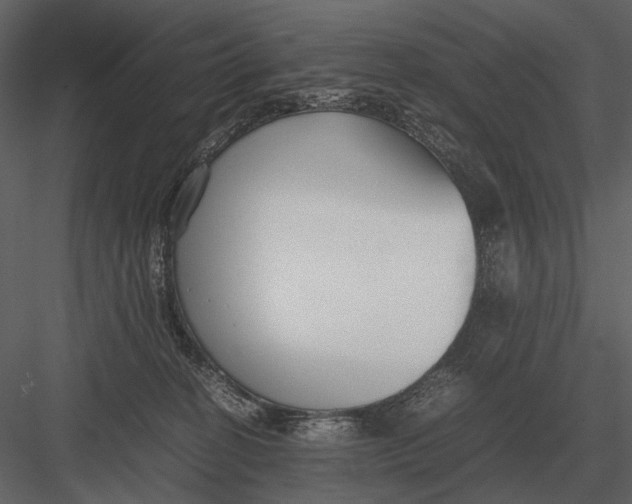 X0000083000274200702230134