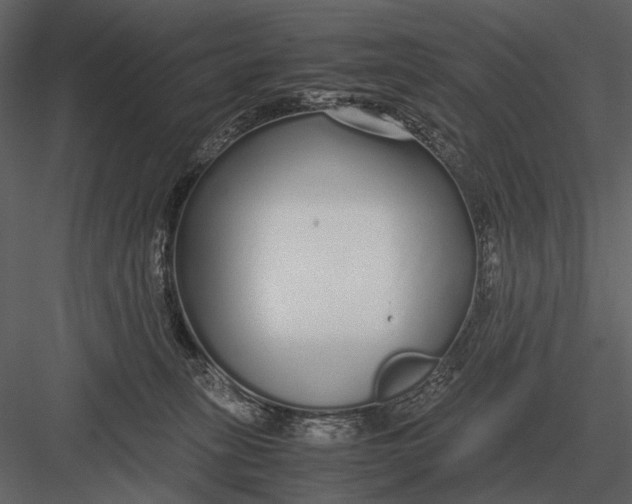 X0000083000275200702230134