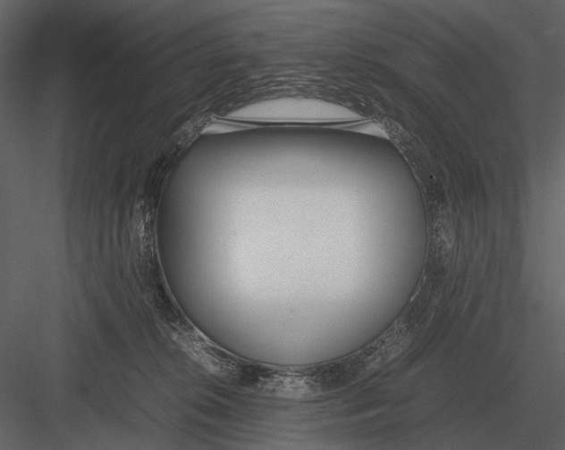 X0000083000276200702230134