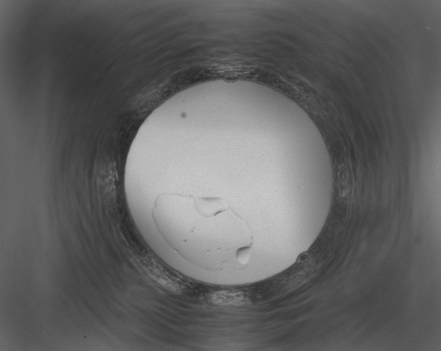 X0000083000279200702230135