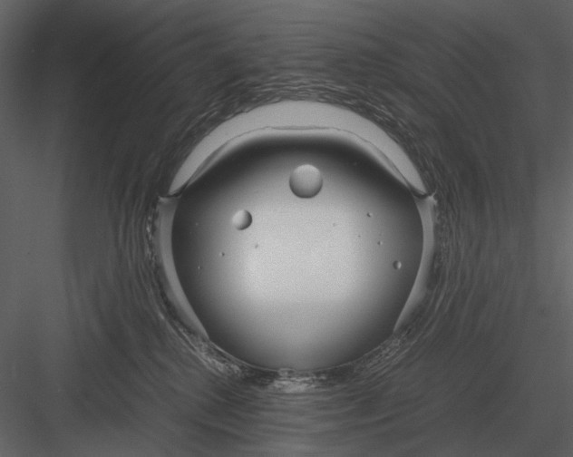 X0000083000280200702230135