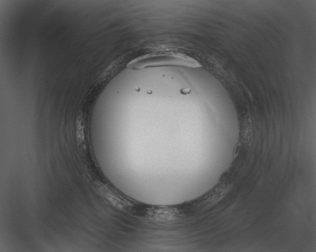 X0000083000282200702230135