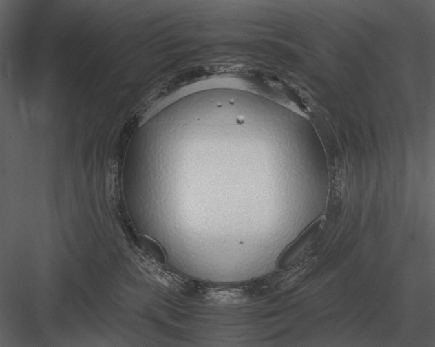 X0000083000283200702230135