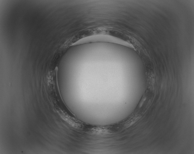 X0000083000284200702230135