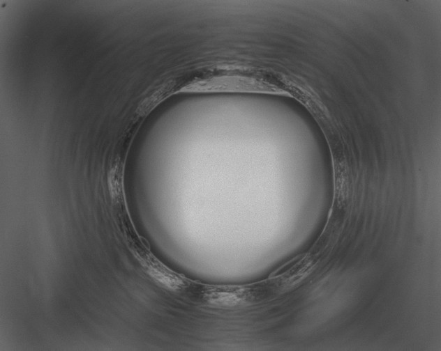 X0000083000285200702230135