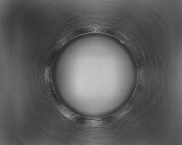 X0000083000286200702230135