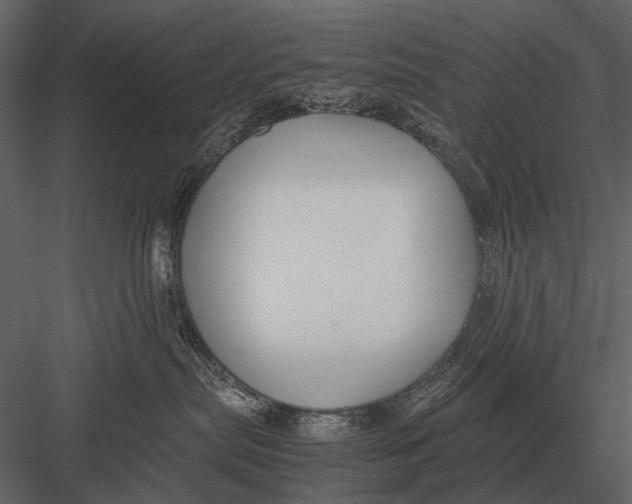 X0000083000287200702230135