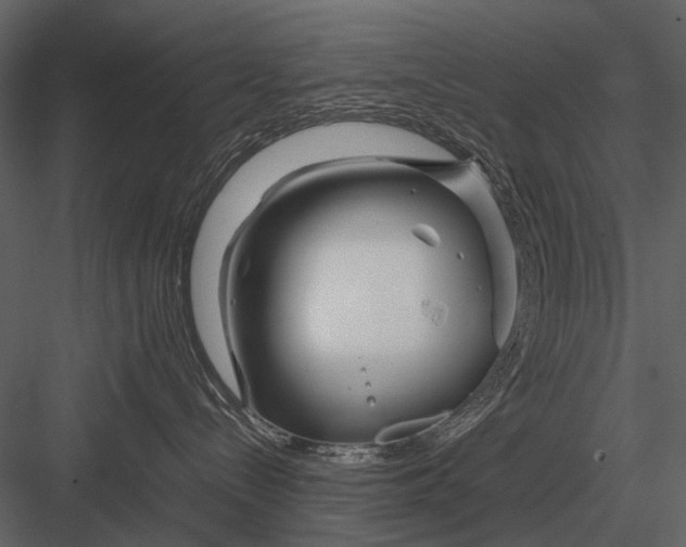 X0000083000288200702230135