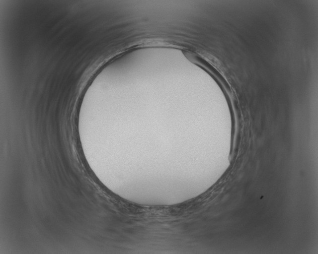 X0000083000289200702230134